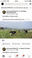 Un Resumen de lo que ocurre en nuestro workplace